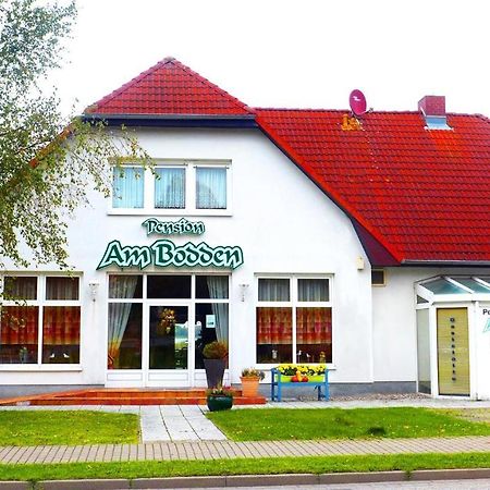 Pension Am Bodden 里布尼茨达姆加滕 外观 照片